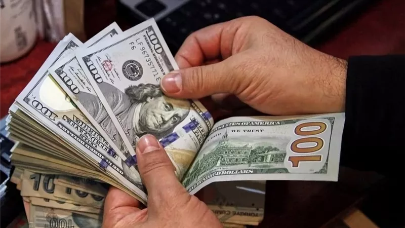 الأخضر بكام .. أسعار الدولار مقابل الجنيه في بداية تعاملات اليوم السبت