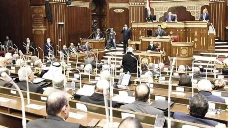 مجلس الشيوخ يؤكّد دعمه لملف سد النهضة والقضايا الإقليمية