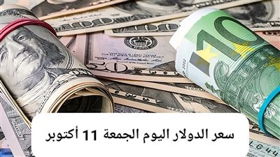 أعلى سعر للدولار في بنك قناة السويس.. إليك التفاصيل