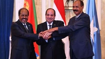 النائب عمرو القطامي: زيارة السيسي لإريتريا تعزز العلاقات الأفريقية وتؤكد حضور مصر في القرن الأفريقي