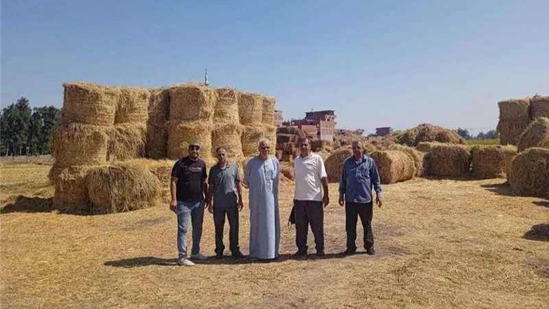 جهود مكثفة لدعم القطاع الزراعي وتوعية المزارعين في الشرقية