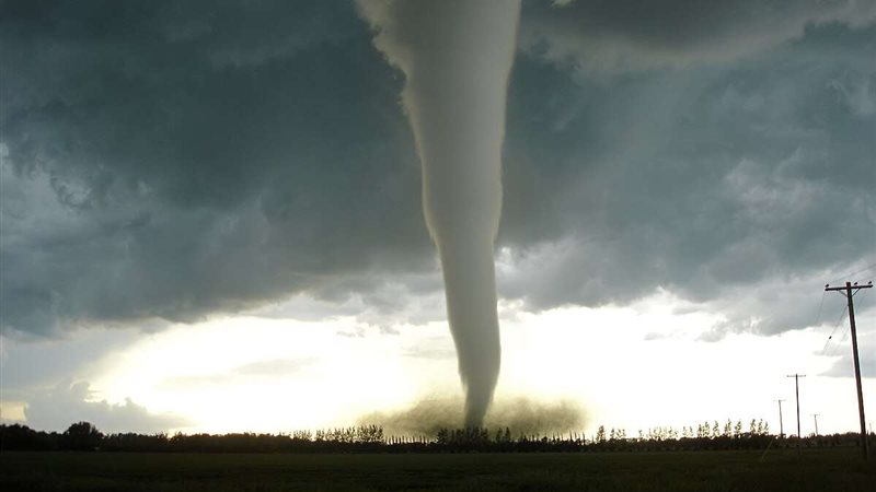 صورة ارشيفيه 