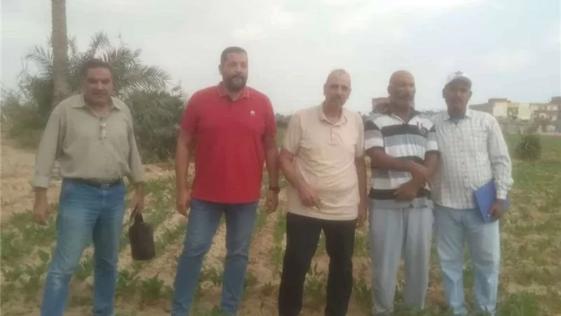 ندوة زراعية حول بنجر السكر بمريوط لتعزيز الإنتاجية