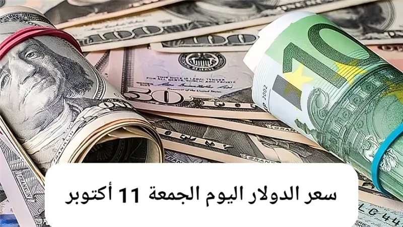 الجنيه المصري يحافظ على استقراره مقابل سعر الدولار اليوم الجمعة 11 - 10 - 2024