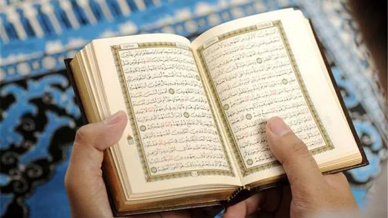 قراءة الفاتحة.. أمين الفتوى: بيع وشراء الممتلكات يحتاج لعقود رسمية
