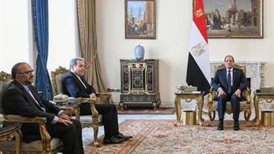 أشرف أبو الهول: لقاء السيسي ووزير الخارجية الإيراني يحمل رسائل هامة