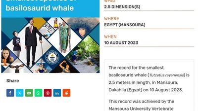 لأوّل مرة ..مركز جامعة المنصورة للحفريات الفقارية يدخل موسوعة جينيس