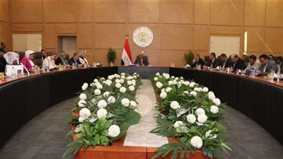 وزير الكهرباء: تشغيل أول وحدة من محطة الضبعة النووية في 2029