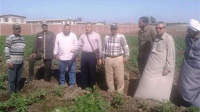 زراعة الشرقية تنظم يومًا حقليًا لتوعية مزارعي الطماطم في مشتول السوق