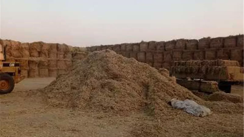 خطة متكاملة من جهاز شؤون البيئة بالشرقية لتحسين جودة الهواء والقضاء على السحابة السوداء
