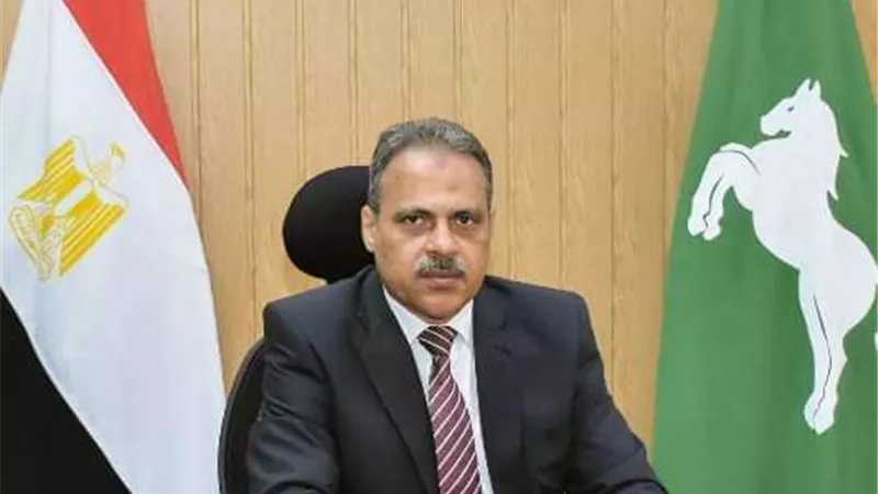 ضبط 4 أطنان مواد غذائية و2817 لتر مواد بترولية خلال حملات تفتيشية بالشرقية