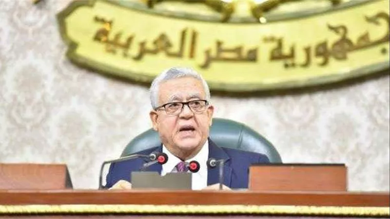مجلس النواب يوافق مبدئيًا على مشروع إنشاء المجلس الوطني للتعليم والبحث والابتكار