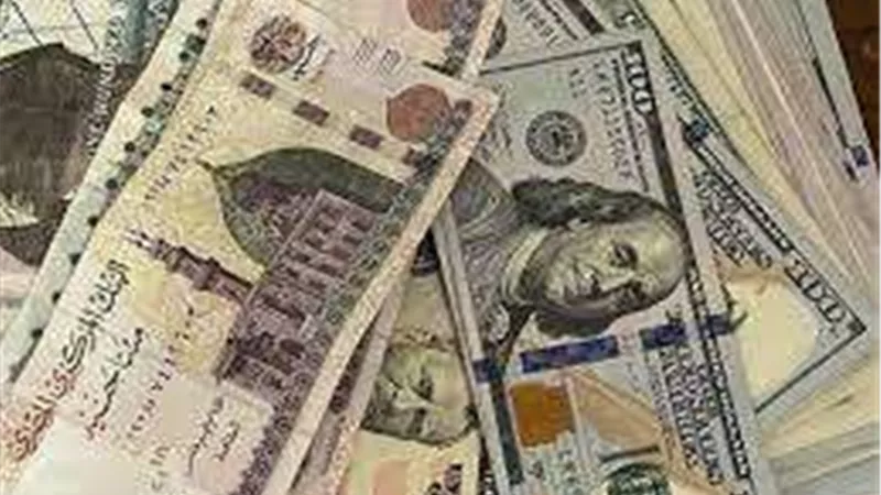 سعر الدولار مقابل الجنيه المصري في البنك المركزي اليوم الإثنين 21-10-2024