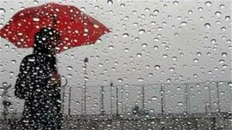 خطة الطوارئ في الإسكندرية: كيف تستعد شركة الصرف الصحي لموسم الأمطار؟