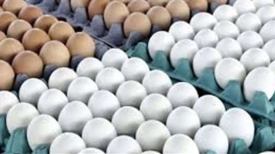 20 مليون جنيه غرامة لسماسرة بيض المائدة