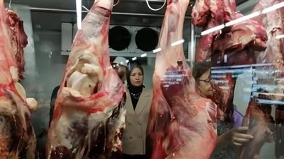 نشرة «بلدنا اليوم» الاقتصادية.. أسعار اللحوم البلدي اليوم الجمعة 25 أكتوبر 2024