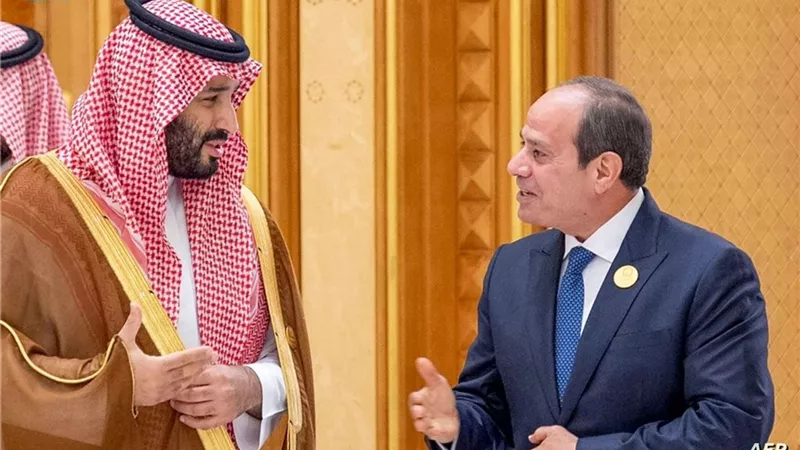 تقرير : مصر بوابة النمو للعلاقات الاقتصادية بين السعودية وأفريقيا