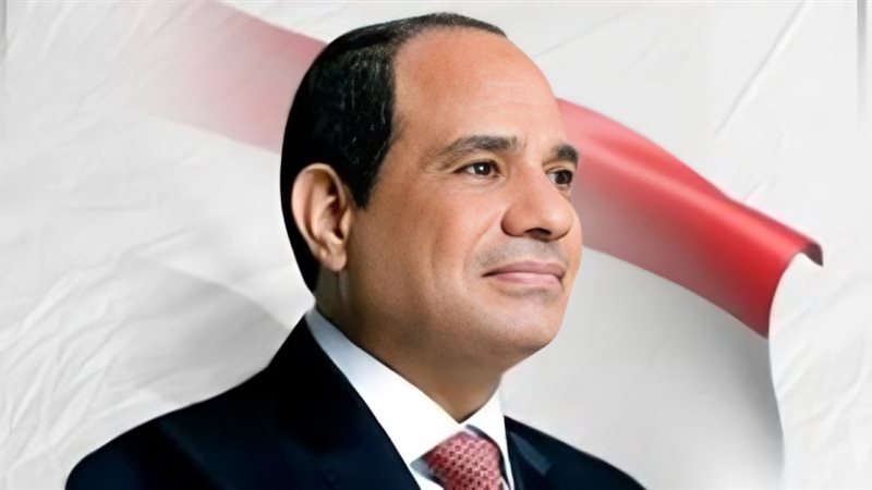 الرئيس السيسي 
