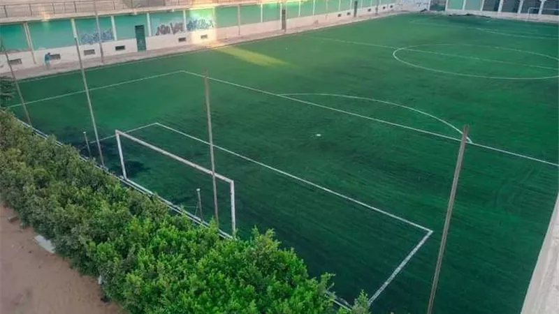 الانتهاء من إحلال وتجديد ملعب نجيل صناعي بمركز شباب ساحل سليم بأسيوط
