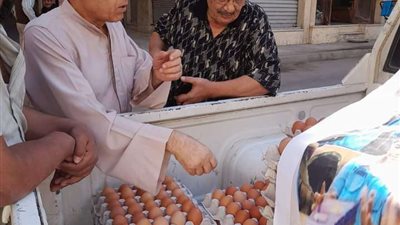 طرح كميات كبيرة من البيض في منافذ وزارة الزراعة بتخفيض 25%