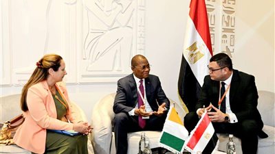 وزير إسكان 