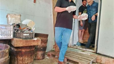 ضبط 500 كيلو لحوم وأسماك فاسدة بالمنوفية