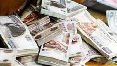 ضبط 657 مليون جنيه.. جهود مكثفة لمكافحة الاتجار  بالنقد الأجنبي