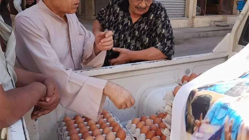 طرح كميات كبيرة من البيض في منافذ وزارة الزراعة بتخفيض 25%