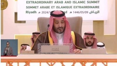 ولي العهد السعودي من القمة العربية: 