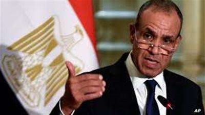 مصر ونيجيريا تبحثان التعاون الاقتصادي والسياسي