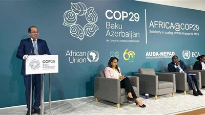 وزير المالية يدعو لتضافر الجهود الدولية في التمويل المناخي بمؤتمر COP29