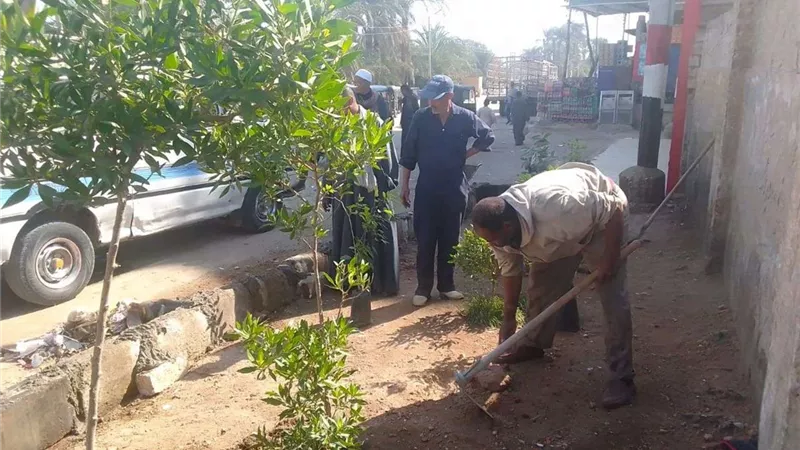 محافظ أسيوط: استكمال أعمال التشجير وزراعة الشتلات المثمرة بالشوارع والميادين بمركز البداري