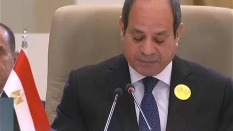 الرئيس السيسي: مستقبل المنطقة والعالم على مفترق طرق في ظل استمرار الحرب على غزة ولبنان