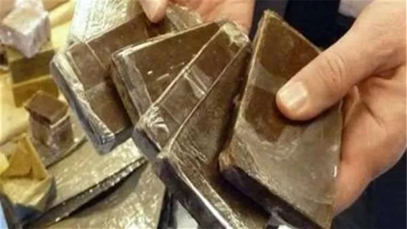 القبض على تاجر مخدرات بحوزته 50 كيلوغرامًا من الحشيش في القاهرة