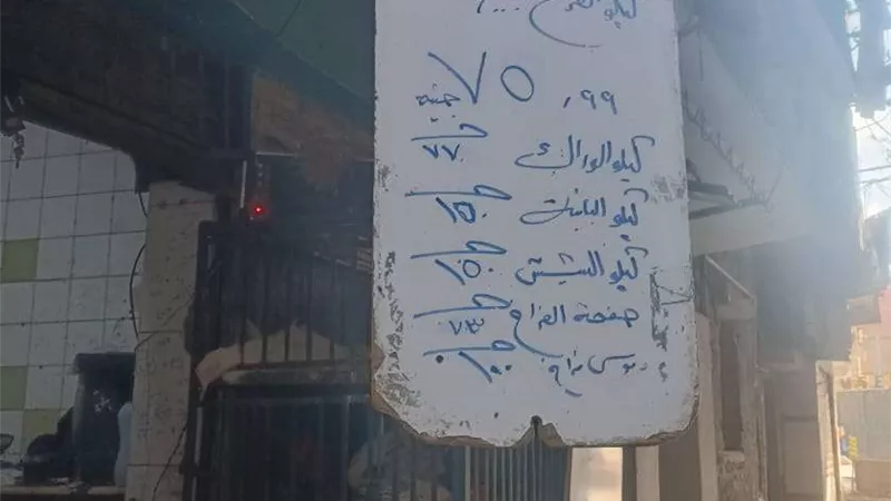 الوراك بـ 77 جنيهًا .. أسعار الدواجن والبيض في الاسواق اليوم الخميس 14 نوفمبر 2024