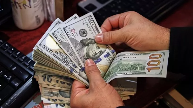سعر الدولار مقابل الجنيه المصري في البنوك اليوم الأحد 10-11-2024
