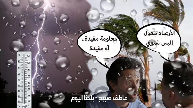 الأرصاد: انخفاض درجات الحرارة غداً الأحد 24-11-2024 في القاهرة والإسكندرية والمحافظات