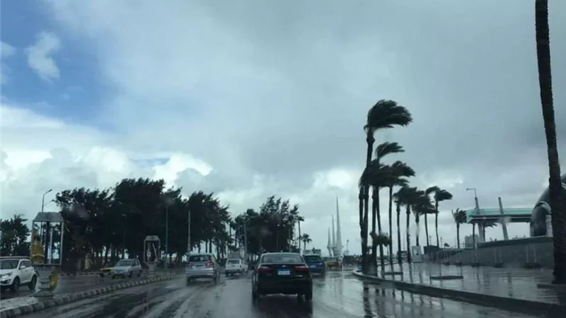 رياح وأمطار وبرودة.. تقلبات جوية بحالة الطقس اليوم الأحد 24-11-2024