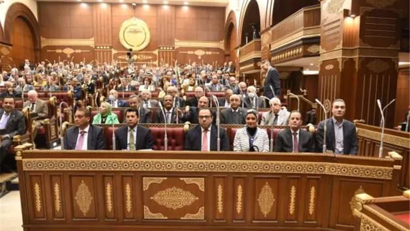 نواب الشيوخ: حصول الوزيرة منال عوض على جائزة التميز الحكومي العربي يؤكد جدارتها وتاريخها الحافل بالإنجازات