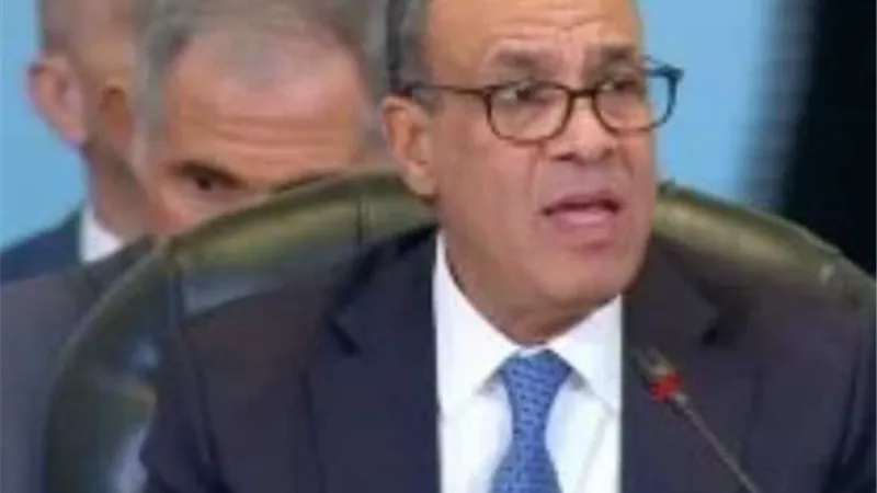 وزير الخارجية: هدفنا تعزيز استجابة المجتمع الدولي للأزمة الإنسانية في غزة