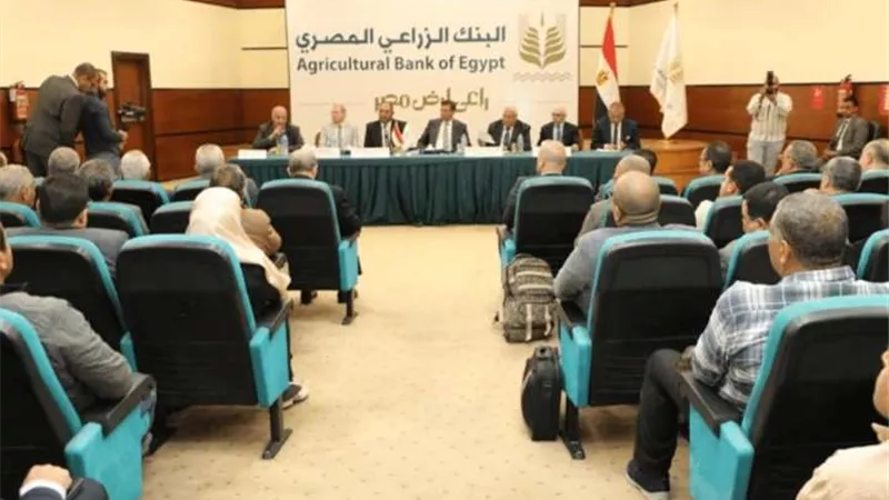 إجراءات عاجلة من الحكومة بشأن أصحاب مزارع الدواجن المتوقفة