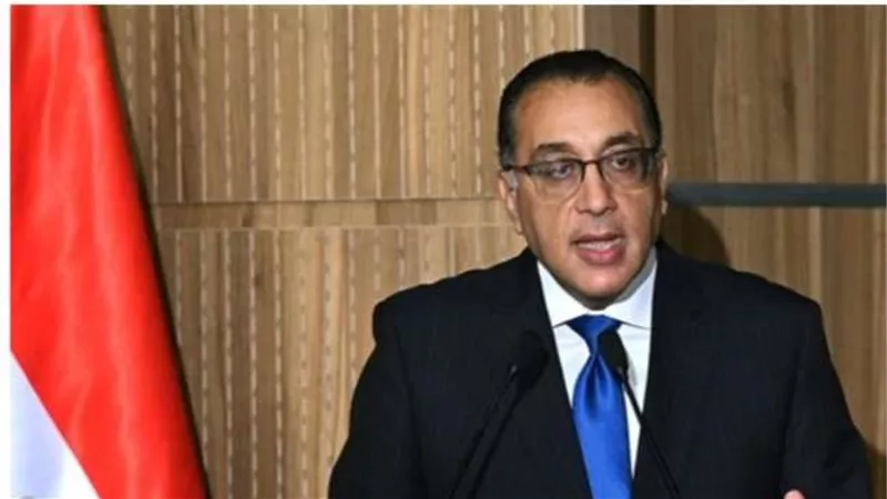 رئيس الوزراء يحدد سعر بيع الغاز الطبيعي المورد لتوليد الكهرباء