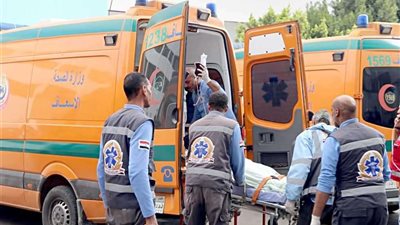 انقلاب ميكروباص بالطريق الإقليمي يتسبب في إصابة 7 أشخاص