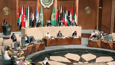مفتي الجمهورية: اللغة العربية ركيزة الهوية ووعاء الحضارة الإنسانية