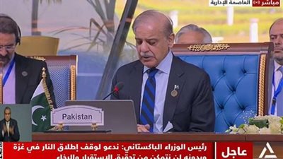 رئيس وزراء باكستان: وقف الحرب في غزة ضرورة لتحقيق الاستقرار الإقليمي والدولي