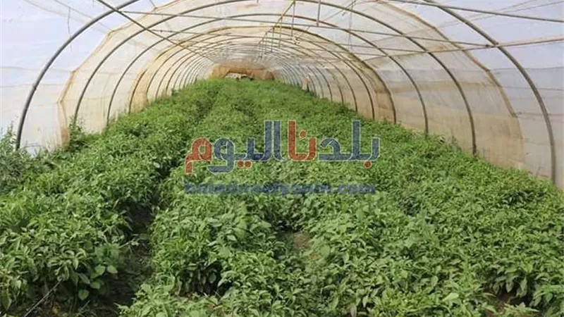 30.7% زيادة في التبادل التجاري بين مصر والأردن خلال 2024