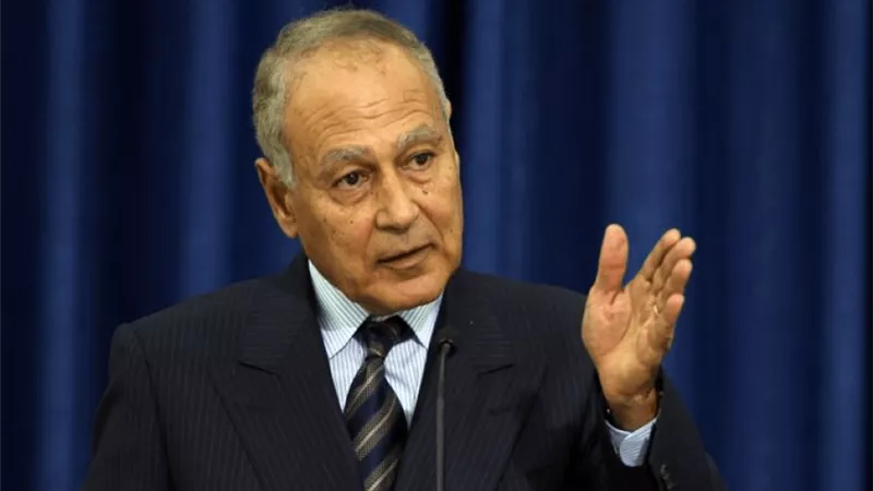 أبو الغيط لوفد فرنسي: نؤكد أهمية اعتراف فرنسا بدولة فلسطين المستقلة على حدود 1967