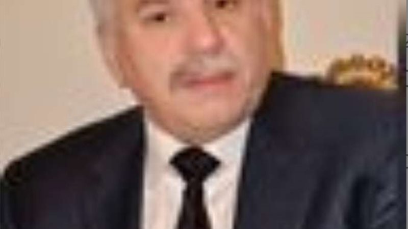 الخبير الاستراتيجي