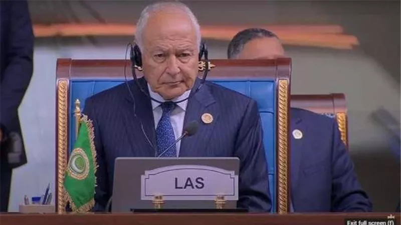 أبو الغيط: قمة منظمة الدول الثمانية تعقد في وقت دقيق وحساس يستدعي الترابط