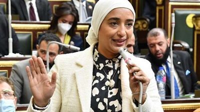 أميرة أبو شقة: الدستور نص على حقوق المرأة في أكثر من 20 مادة